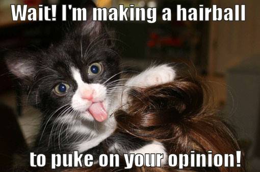 making_a_hairball_to_puke_on_your_opinion_trollcat1.jpg